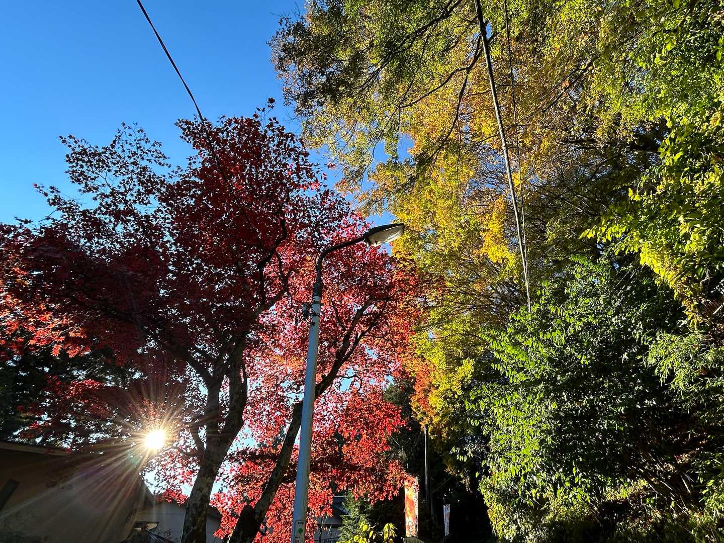 いい天気☀️