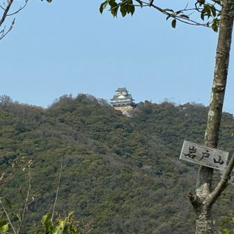 岐阜城も見えます