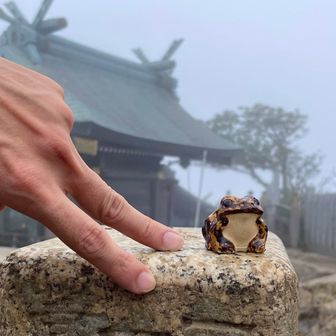 女体山山頂に到着🥳
いつもの三角点タッチ🐸✌️😁