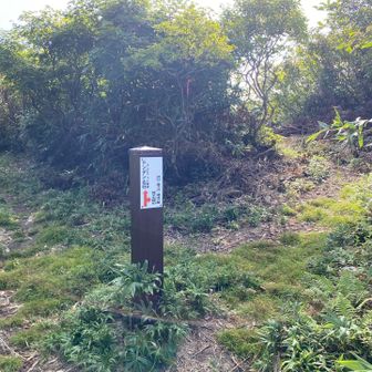 →神子岩経由 横山方面へ