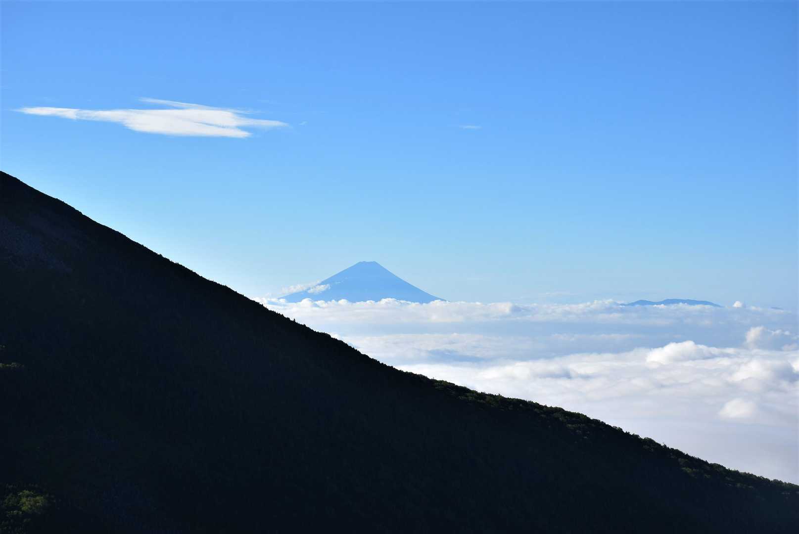 ヒョッコリ🏔