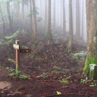 人里峠の分岐。