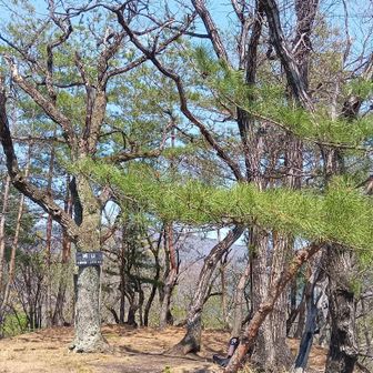 広く展望が良し！
仙人ヶ岳、太田アルプスなどよりどりみどり😆