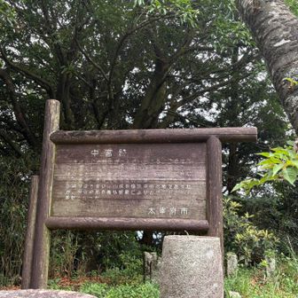 時間がなくて、ゆっくり読めず…