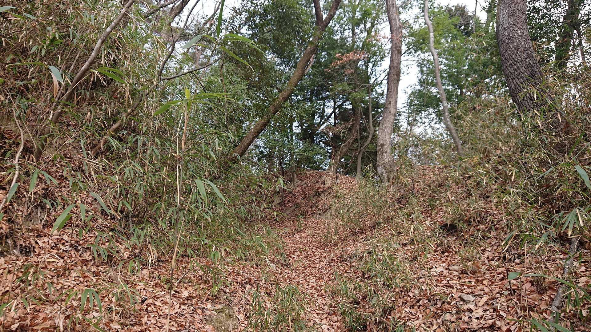 かなりの落ち葉🍂で歩きにくい

でも 練習済みですから！