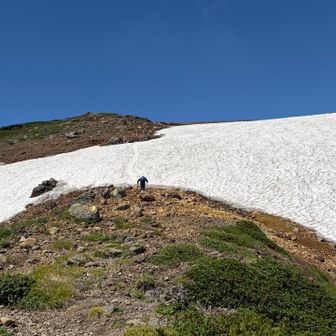 北鎮岳の雪渓