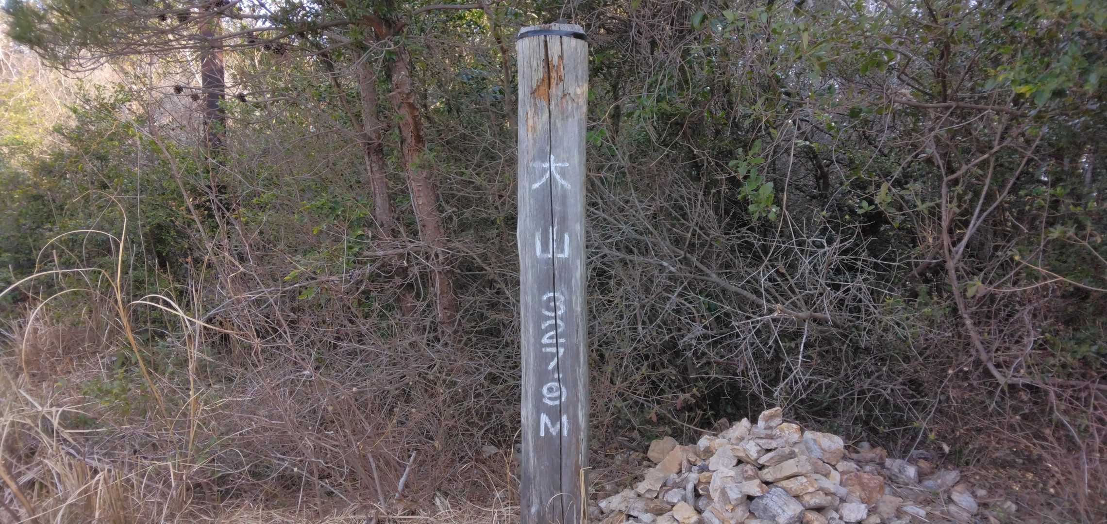 大山-狼煙山-椛峠-物見山-雨乞山 周回コースの写真