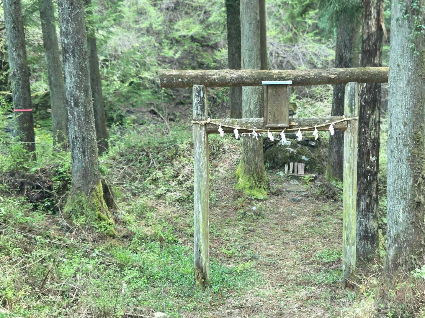 このへんから林道歩き