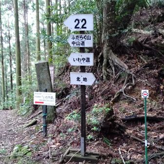 いよいよ北地の狼🐺を探しに行って見ます