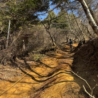 ロープが張ってあって少し歩きにくい道を登ります。一部ザレザレの所あり、私はここ下りにしなくて良かったと思いました