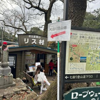 七曲り登山道で下ります