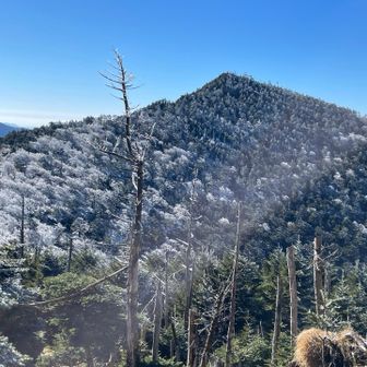 樹氷とのコントラストが綺麗。