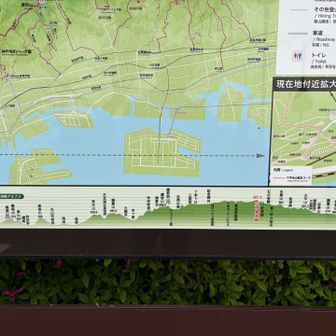 そして、無事にゲザーん‼️
六甲山全山縦走の地図がありました
いやー、しかしよく歩きましたね🤣