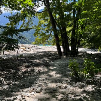 ブナ立てを下り切ったら急に海みたいな風景に。