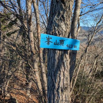 ここが一番のポイント