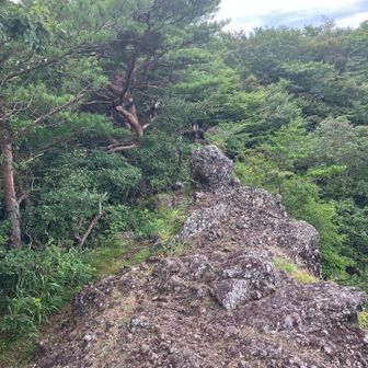 こんな道。右側は崖。でも、みんなで意外とすんなり渡れたので、やはり着実に経験値は上がってきている…か？（そう願いたい…💧）