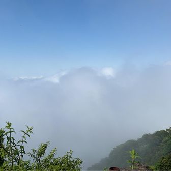 だいぶ晴れてきたけど富士山🗻顔だしならず