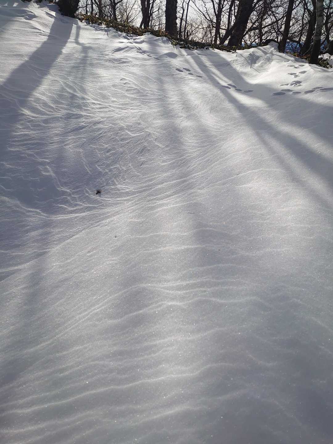 前黒山 往復コースの写真