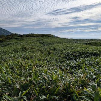 避難小屋へ戻ります