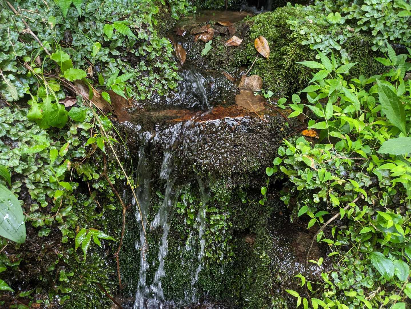 命の水発見🚰
冷たくて気持ち良かった〜