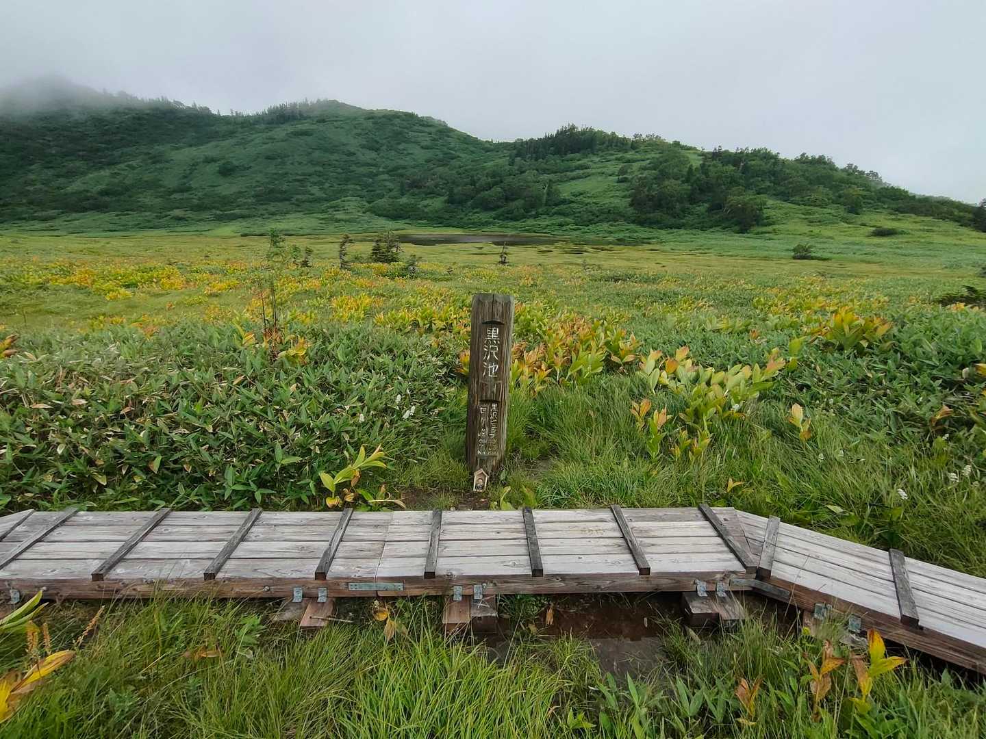 茶臼山-大倉乗越-妙高山-黒沢橋-笹ヶ峰登山口 縦走コースの写真