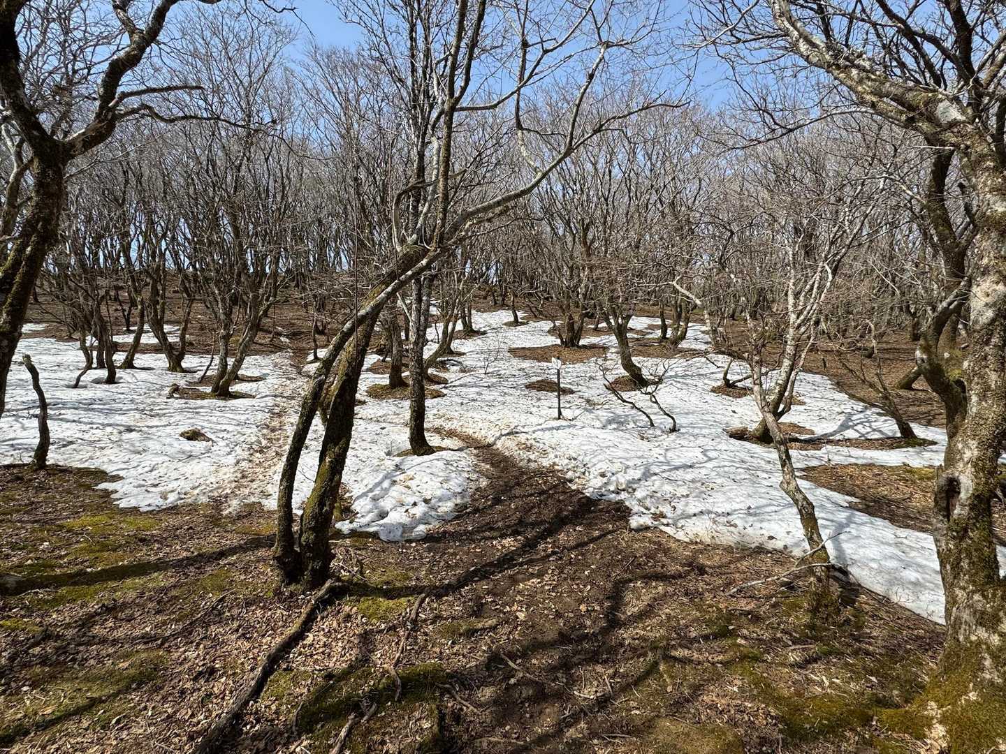 所々、残雪⛄️