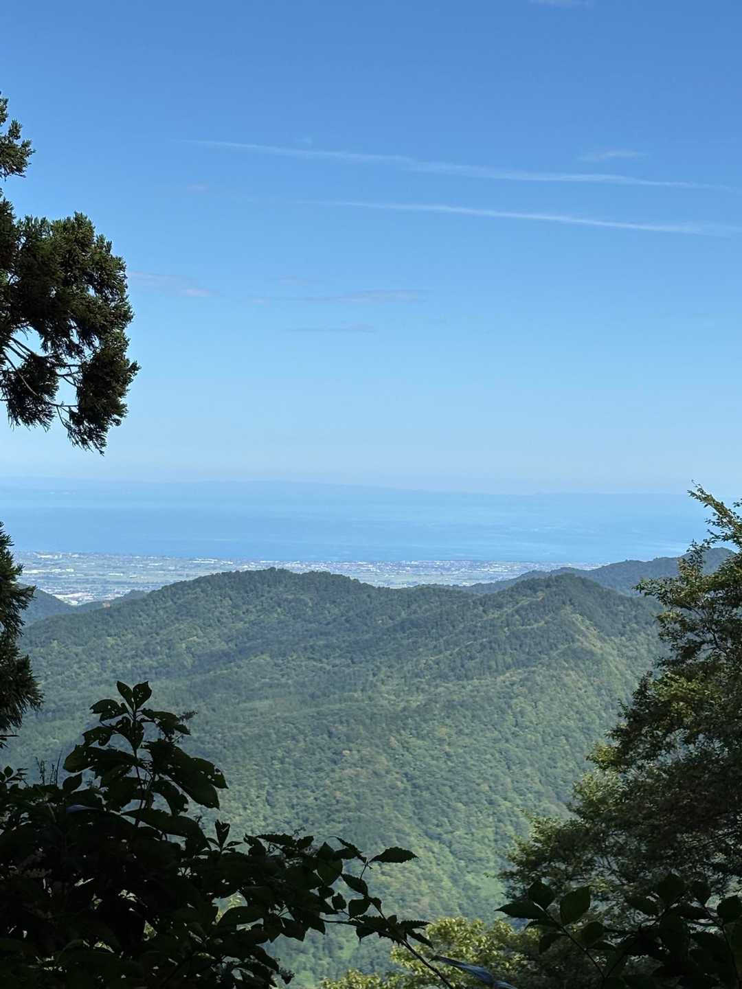 瀬戸蔵山 往復コースの写真
