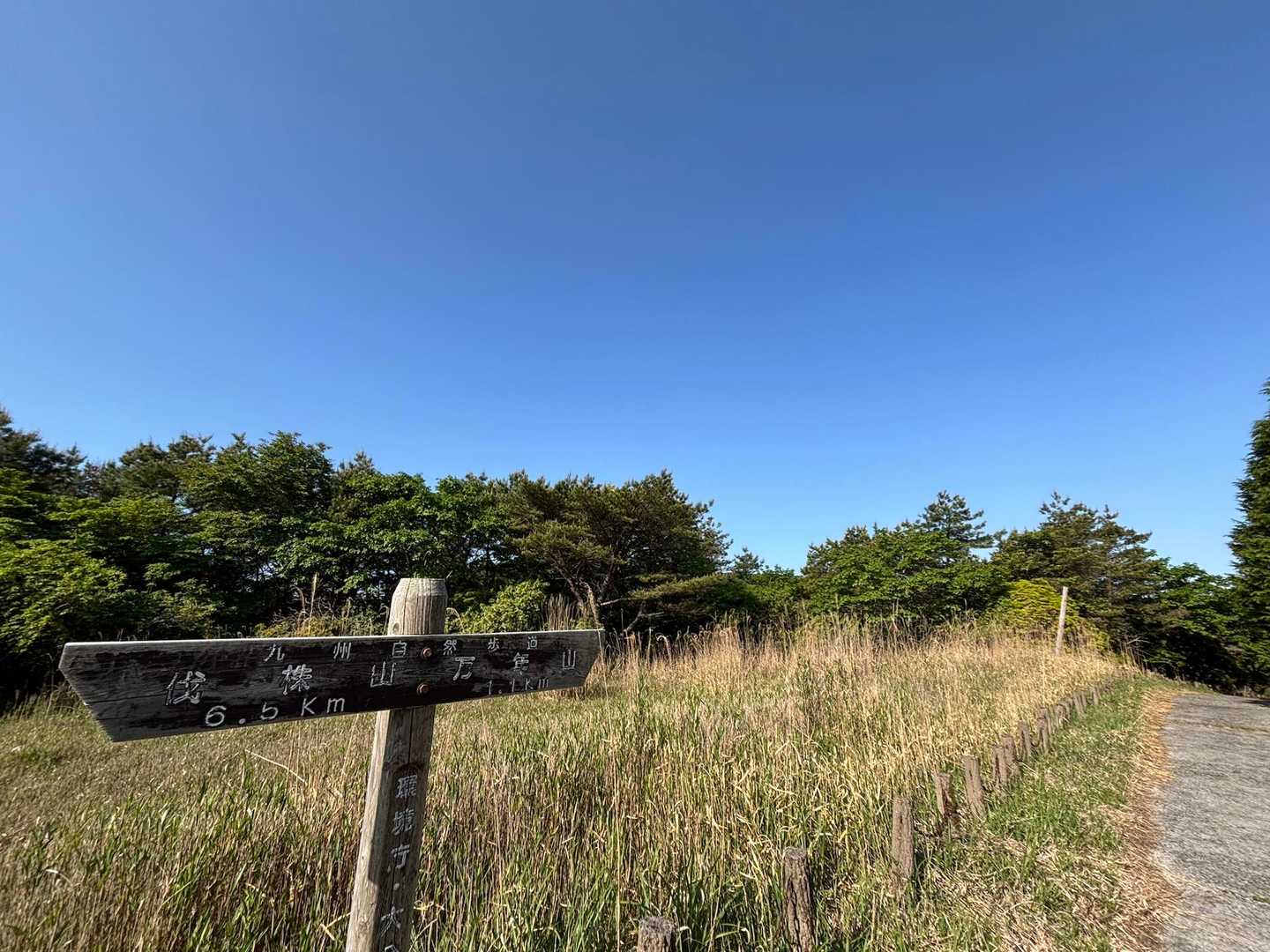 雲ひとつない青空🩵