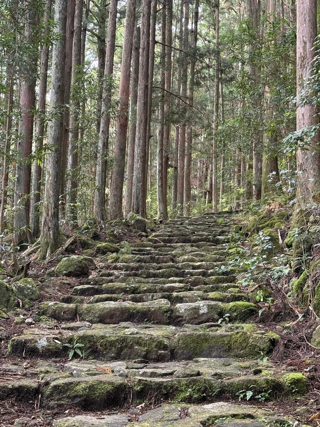 いい感じの石段