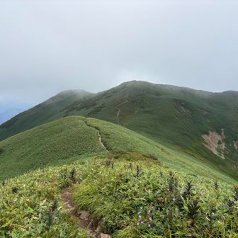 仙ノ倉山へのビクトリーロード✨