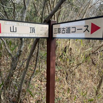 下山は三草古道コースで⤵️