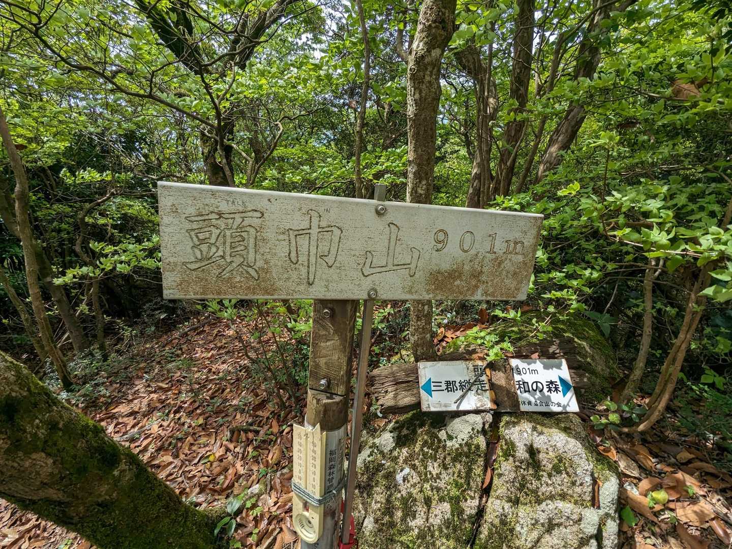 頭巾山山頂に到着
901m