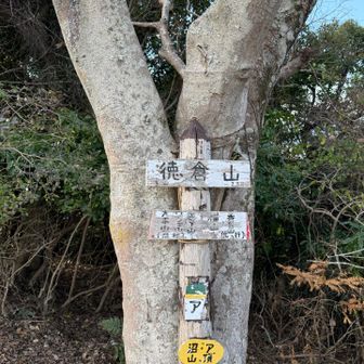 14時、時間との戦いになってきました