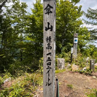 標高1542