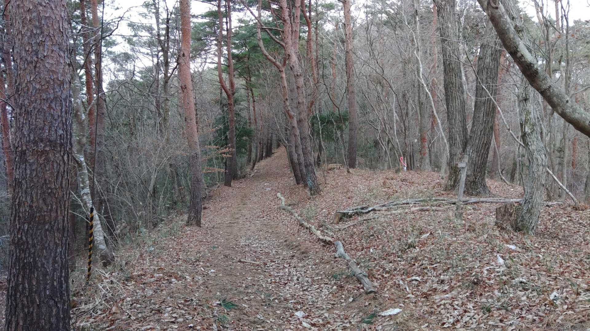 権現森は稜線歩きが楽しいんだよね