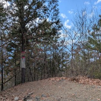 甲州高尾山は眺望なし。