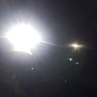 これ僕です🔦
こんな格好でお参りしている方が
怪しまれます🫩