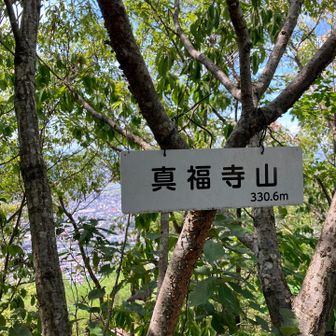 反射板到着