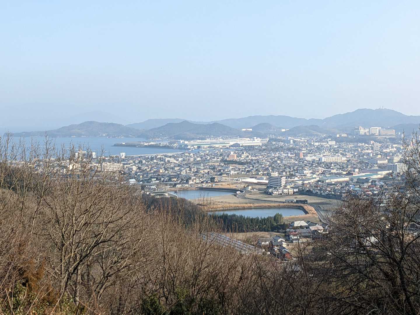 展望台からの景色