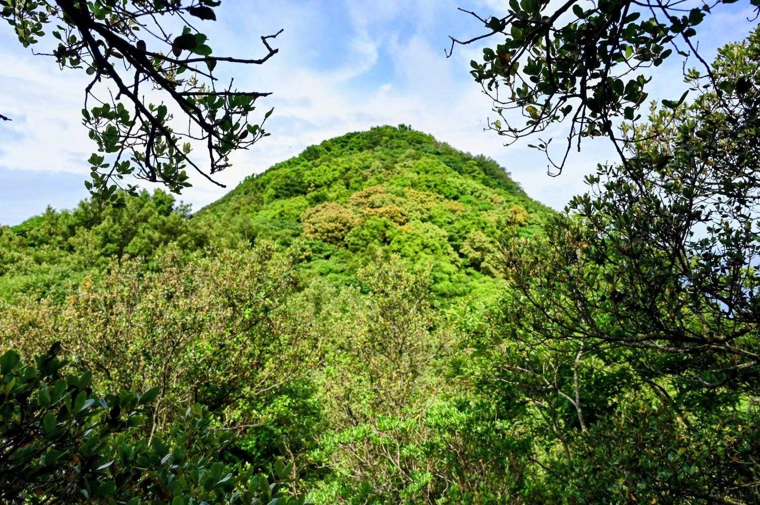 由良山が見えてきました