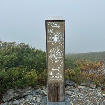 烏帽子岳到着、眺望無くても大丈夫明日はもっと良い景色が見れるはず