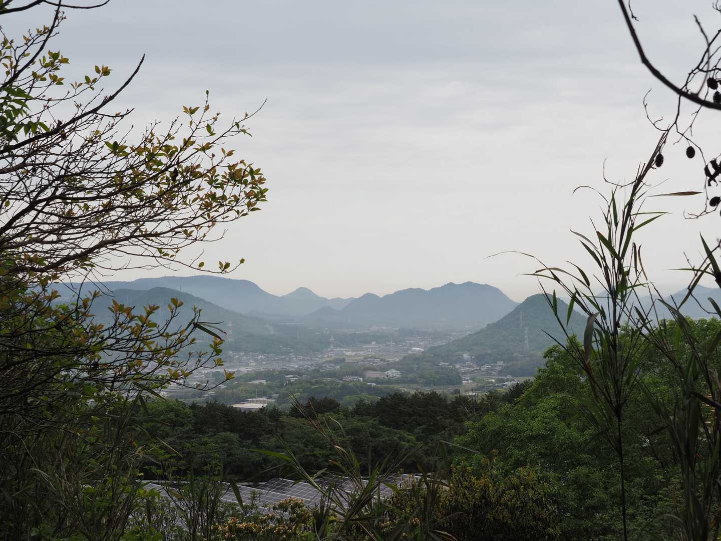 城山-こねこ山 周回コースの写真
