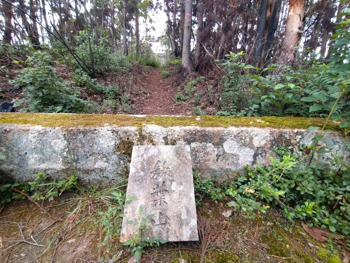 秋葉山 周回コースの写真