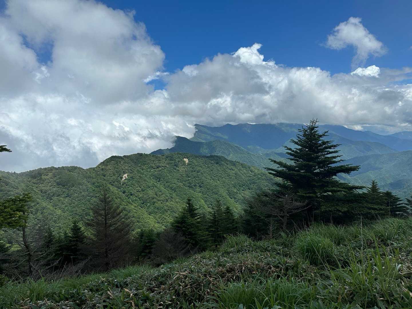 平家平-冠山-一ノ谷越-獅子舞の鼻-大坂屋敷越-大永山トン 縦走コースの写真