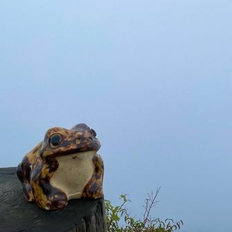 山頂は真っ白しろ🤍
今日も安定の五里霧中😶‍🌫️🤍🐸
