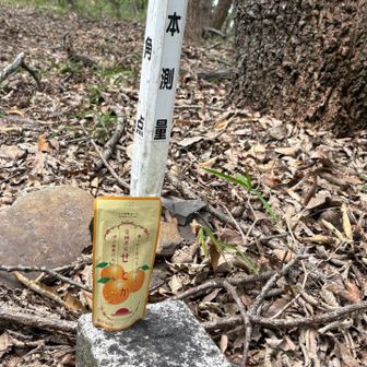 シャーベット凍らせてきたのに、完全に溶けてる