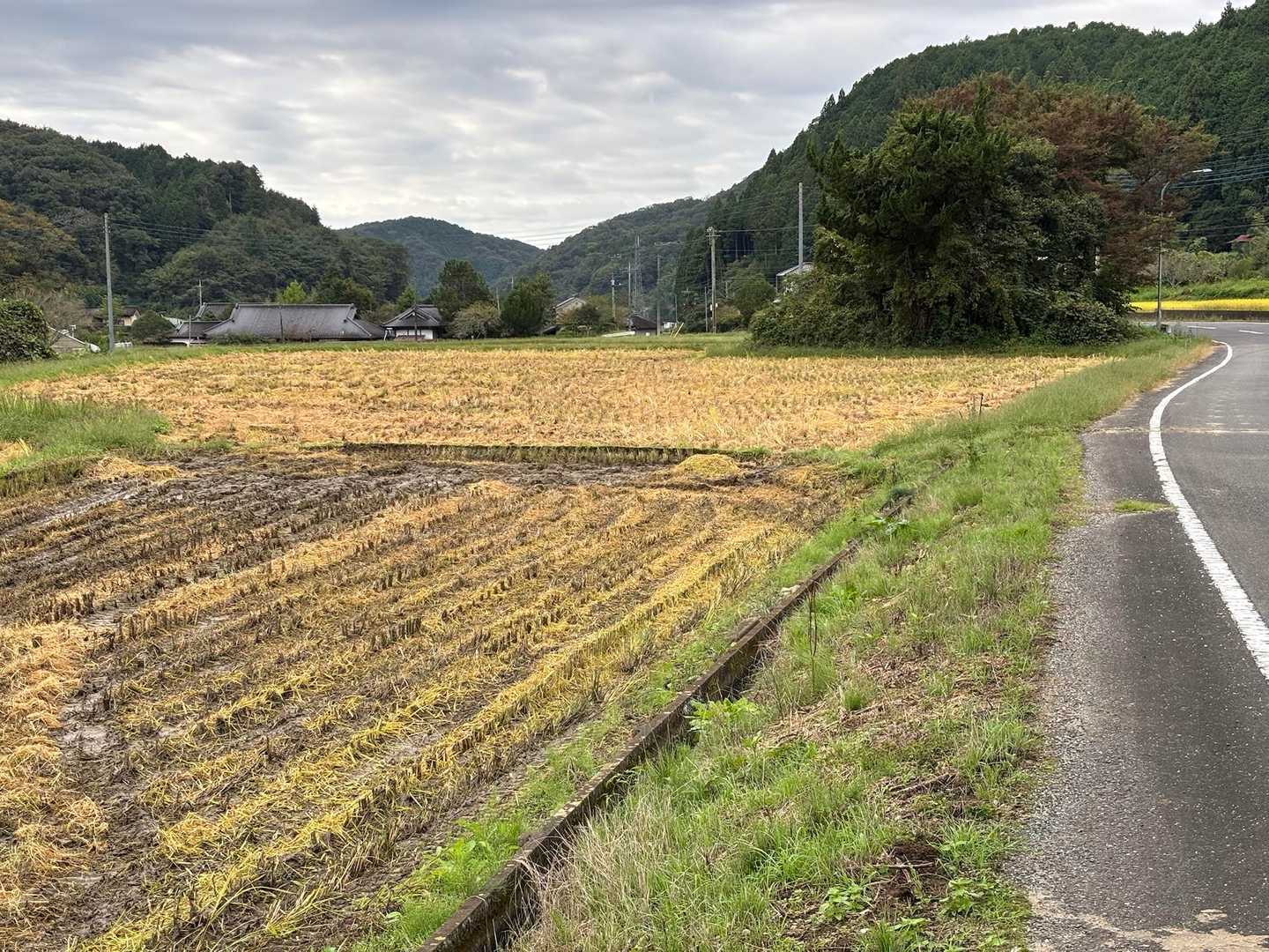 県道沿いの稲刈りはほぼ終わり、すっかり秋らしい雰囲気になっていました。