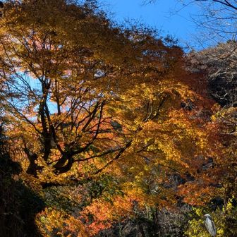 麓の集落に下山😊
久々のお山、コケもせずに何とか無事に👍
急げばバスに間に合うけど、無理しないで集落の情景を楽しみながらノンビリと🚶