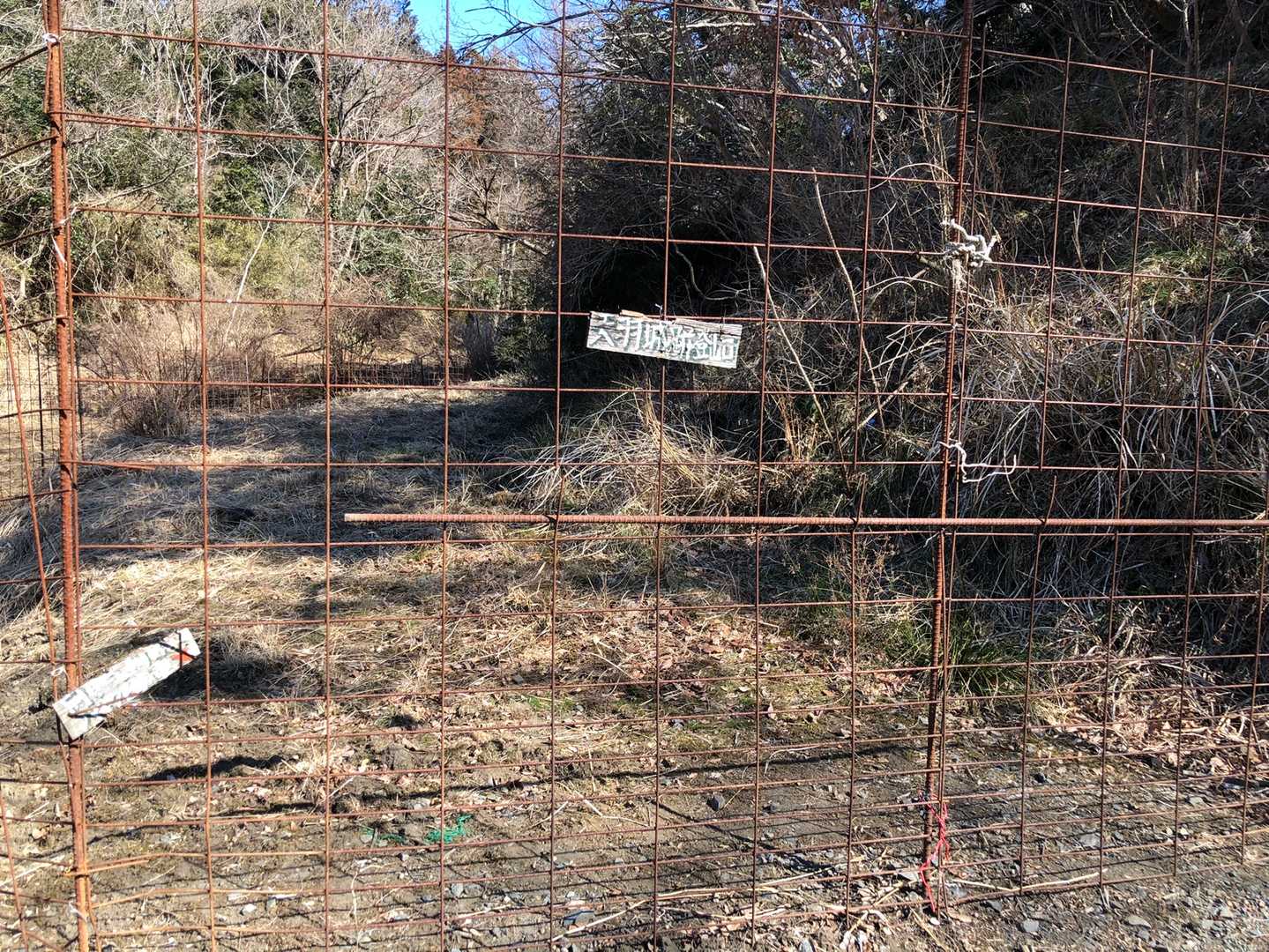 獣除けの扉は閉めて…駐車場までテクテク。

ハイカーがほぼ入山しない山域では、「人間」と出会うことが、一番ドキリとします。ソロ山行は無理だろうな…と思っていたところ、既に歩かれているお二人とご一緒いただく機会をいただき大変心強かったです。めっちゃ楽しかったです🎵

ご一読いただき、ありがとうございました🙇


