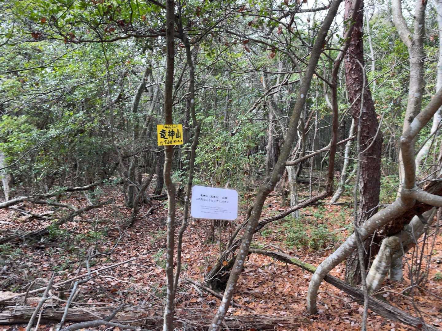 竜神山山頂